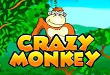 Crazy Monkey: как играть в игровой автомат от Igrosoft?